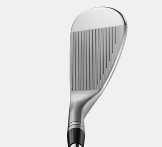 TITLEIST BV-SM11 8F